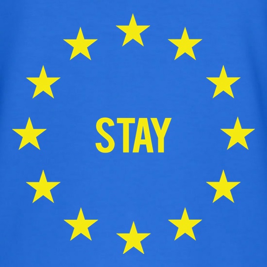 Vote EU Stay t shirt